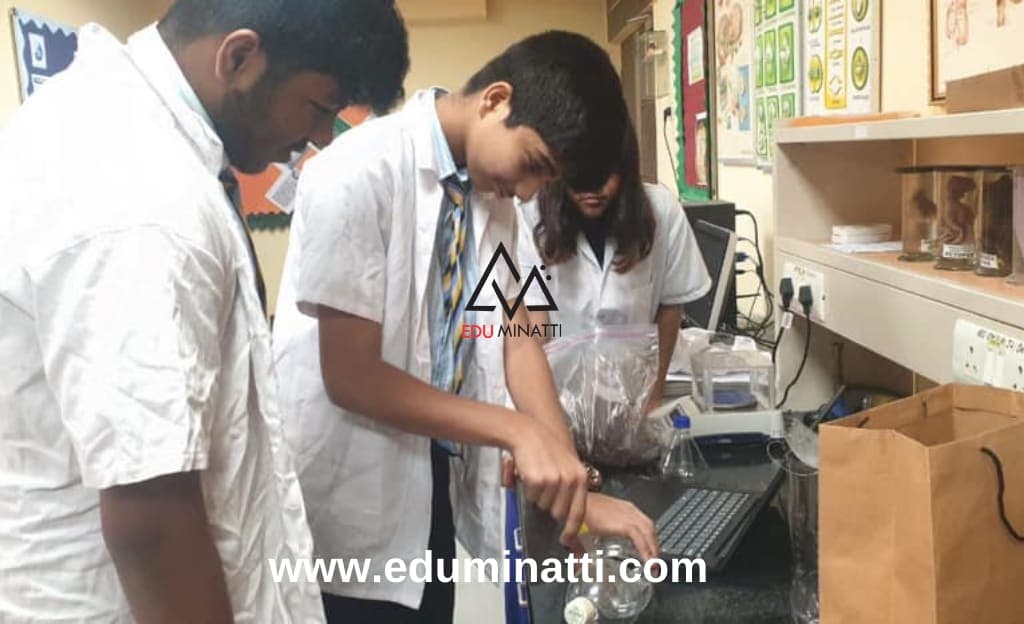 NES International School image 2